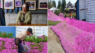 True Love! Man plants thousands pink blooms so people come to see and spend time with his blind wife