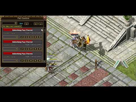 Legend of Mir 3 - Xtreme Edition - QoL Preview - Pet Controls