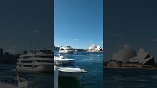Sydney Opera House #australia #travel #sydney #bay #cruise #ship #newsouthwales #boat #operahouse