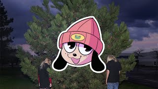 Cover art for Money Machine