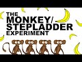 THE MONKEY/STEPLADDER EXPERIMENT
