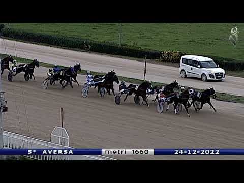 Aversa trotto 24 Dicembre 2022 - 5° Corsa