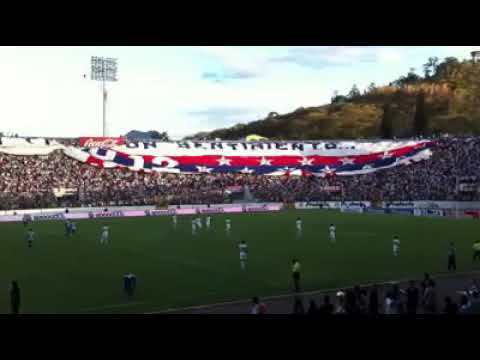 Manta Gigante de la barra Ultra Fiel