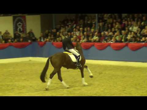 Asgard's Ibiza ( kwpn - 2013 ) Althengstparade OLD 2016