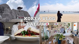 대구워홀VLOG🇯🇵→🇰🇷 / 친구가 왔다!! / 대구 소품샵 투어 / 대구 카페 / 부산 1박2일 / 갓바위 등산⛰️ / ☕️👗🧸📓