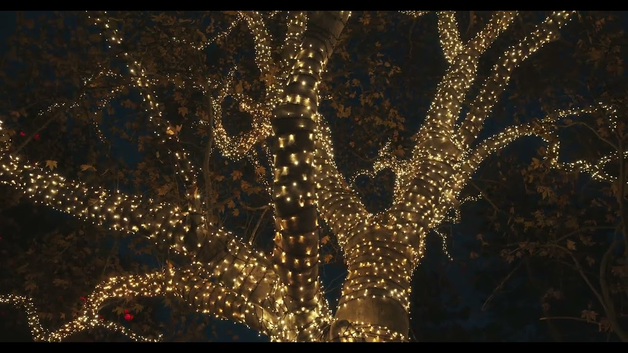 Promotional video thumbnail 3 for Lights Up Today