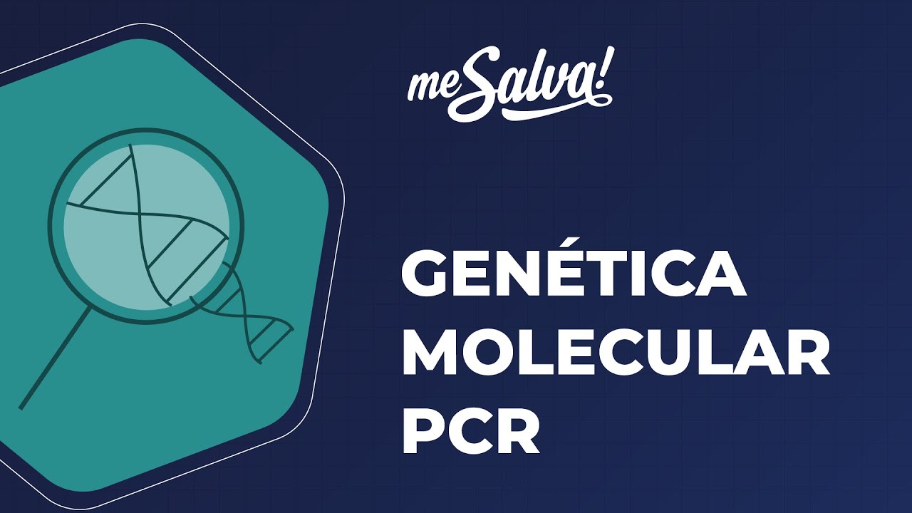 Genética Molecular – PCR - Genética Humana - Me Salva! Saúde