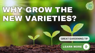 New Varieties, Better Gardens: Why Home Gardeners Should Start Growing Them 🌱#homegardening #garden