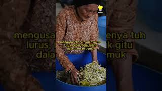 Download lagu Resigned from being a bank employee, now a premium bean sprout farmer, harvesting up to 250kg/day... mp3