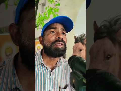 appa dowen#hansrajhans