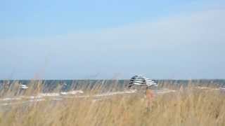 Made of Limestone - Teaser - Love