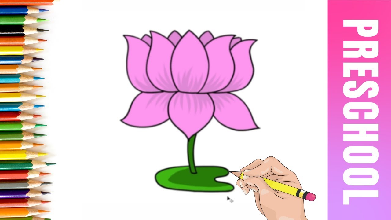 How To Draw A Lotus Flower Very Easy Step By Step for Kids