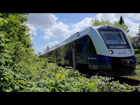 RB33 nach Cuxhaven fährt durch den Bahnübergang Barwarderweg, Imsum, bei sonnigem Wetter
