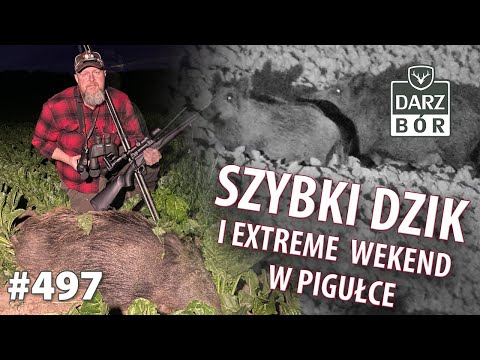 Darz Bór odc 497 Jak poznać wycinka w watasze? Co to jest Extreme Weekend i co warto tam zabrać!