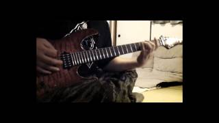 The Haunted - Chasm  (guitar cover )