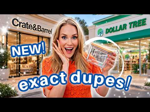 REAL Dollar Tree Crate & Barrel ORGANIZATION! (Just Released!)