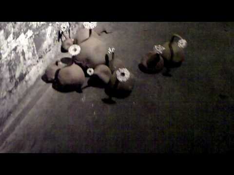 Henrichshütte:   Museum für Eisen und Stahl-Neue Heimat Installation von Ursula Commandeur