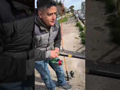 #pesca de tremendo bagre #gral #lavalle @Cliniquelavallee2 @BadMoonWerewolf #fish #viral