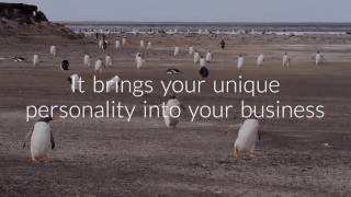 What is a brand story - Whats Your Story Program (c)