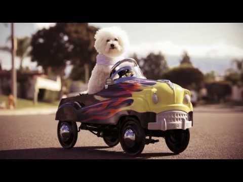 Women in Network Marketing | Vandercom