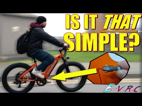 This SIMPLE thing makes POWERFUL Ebikes Legal? ft. Crazybird Jumper