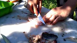 Lähiruokaa Leerannasta