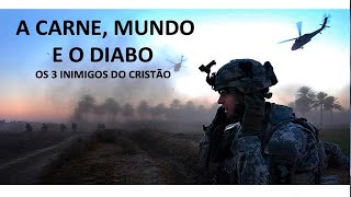 O ESPRITO SANTO AJUDA O CRENTE A VENCER A CARNE O MUNDO E