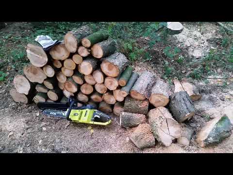 Traubenkirsche ca. ein Kubikmeter