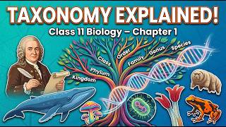 Explanation of Living World Class 11 Biology Chapter 1 Classification