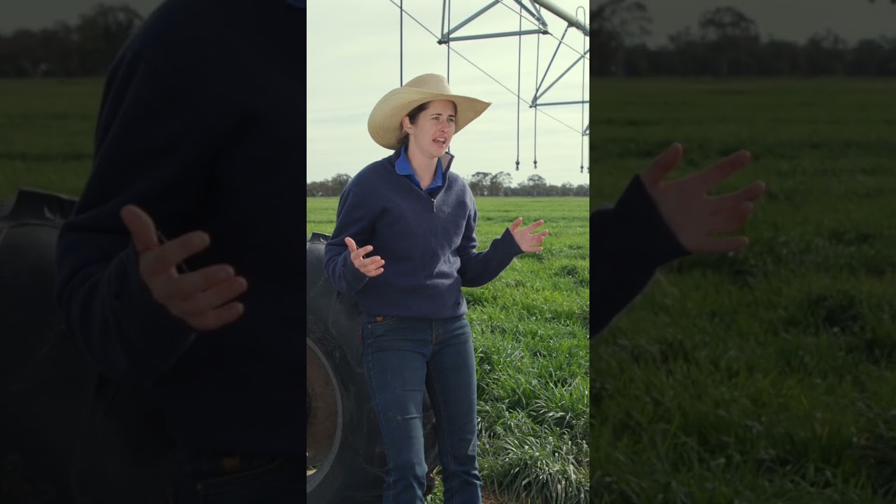 Haddon Rig team video