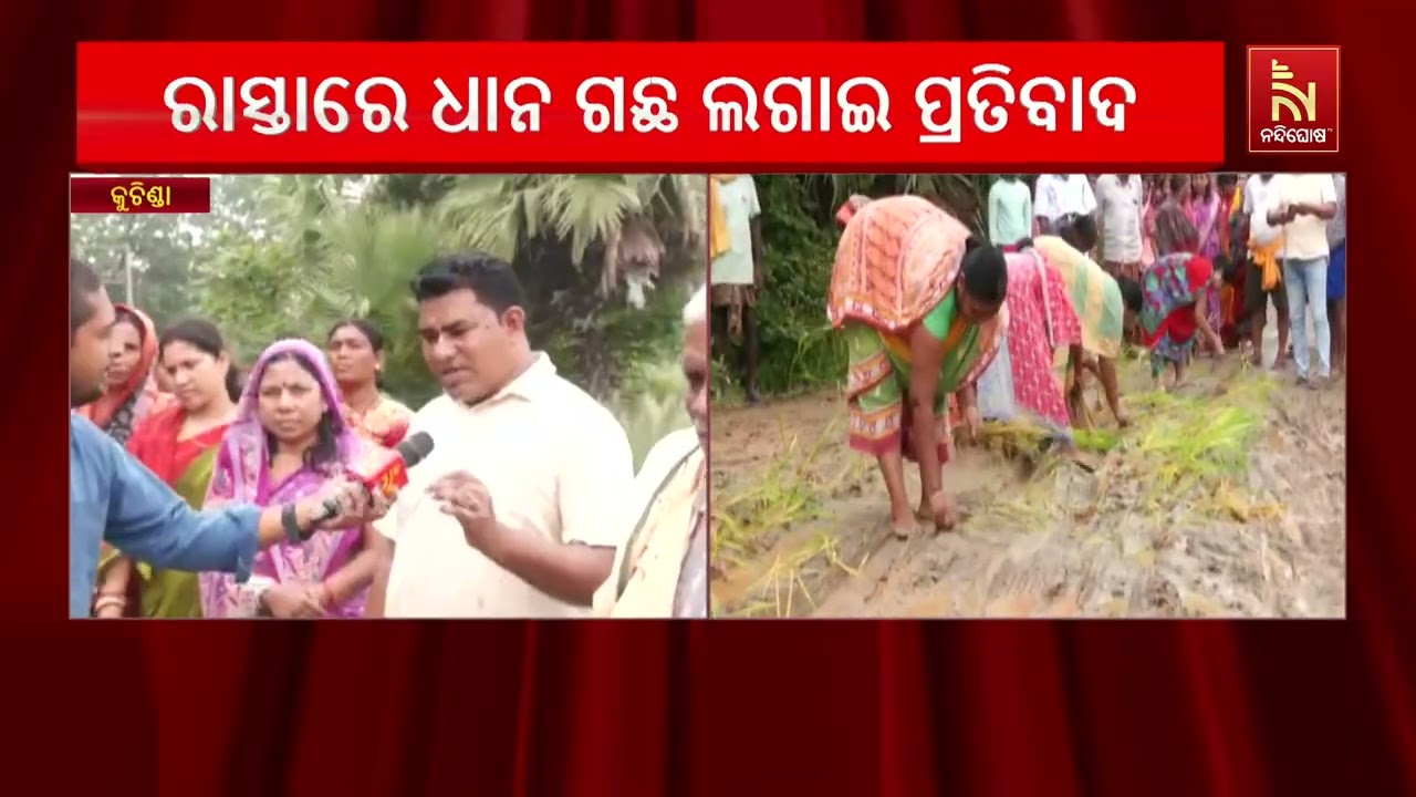 ରାସ୍ତା ଉପରେ ଧାନ ଗଛ ଲଗାଇ ନିଆରା ପ୍ରତିବାଦ ; ସମ୍ବଲପୁର ସାହ?