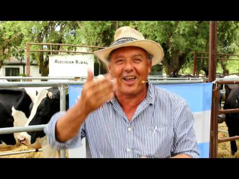 Gervasio Saenz Valiente   Actualidad del sector lechero y ganadero