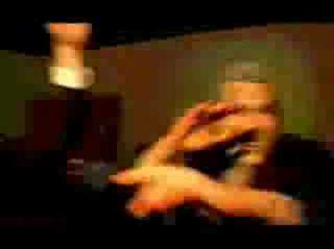 The Delegates "Stone Fox" Music Video