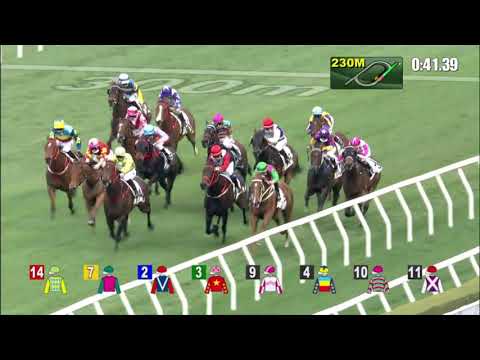 28/2/2021 (468) Winner Method - A Badel