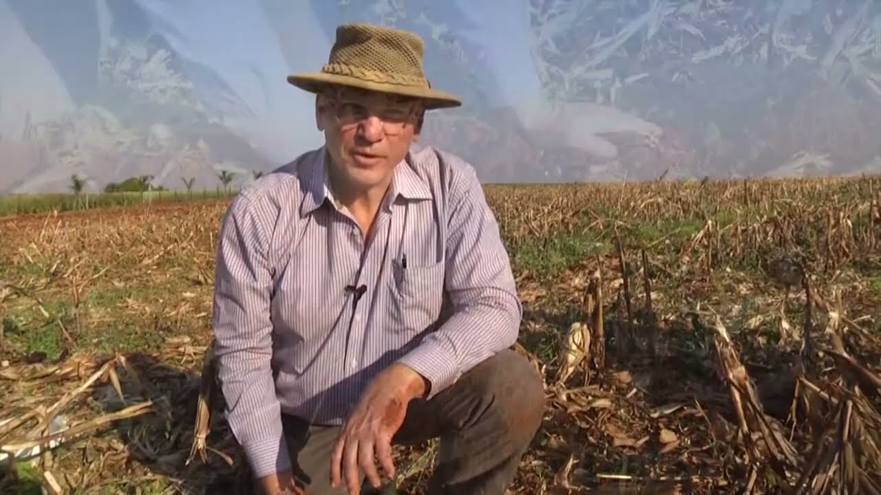 004 Umidade solo DRES