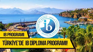 Türkiye’de hangi okullar IB Diploma Programı sunmaktadır? #türkiye #ib