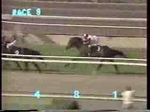 1988 San Jacinto Handicap