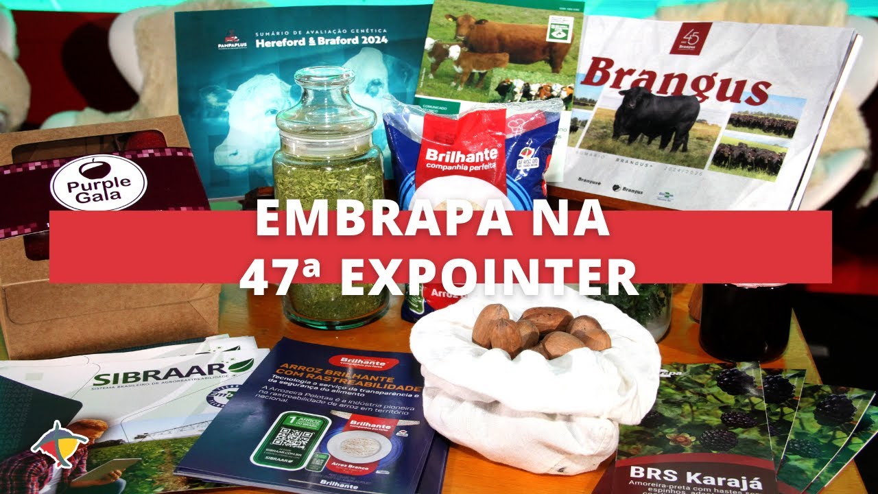 Embrapa lança tecnologias na 47ª Expointer | Terra Sul