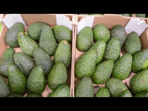 Onesta Europe: la apuesta peruana que quiere dominar el mercado europeo (VIDEO)