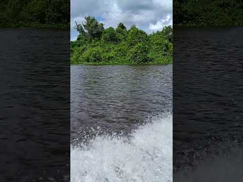 Rio cuiaba cheio barão de melgaço #riocuiaba #baraodemelgaco #siamariana #matogrosso #cuiaba #mt