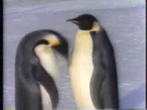 "Be Cool, Stay in School" PSA