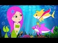 Baby Shark Sing and Dance Song Compilation | FunForKidsTV Nursery Rhymes