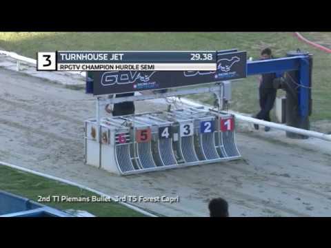 2019 RPGTV CHAMPION HURDLE - 2ND SEMI - T3 TURNHOUSE JET