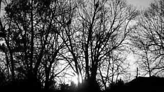 Calling All Angels~Jane Siberry &amp; KD Lang