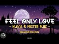 Feel Only Love Klaas Mister Ruiz Slowed Reverb SongLyrics