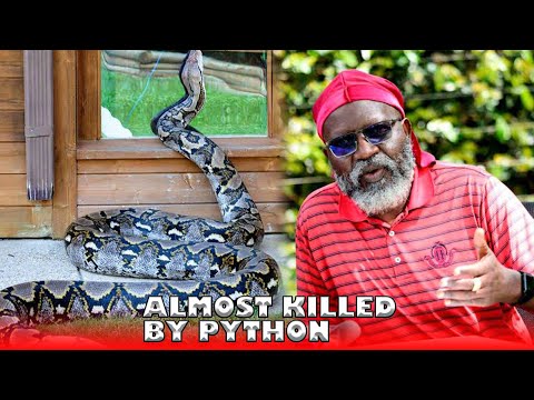 My HEAD SAVED ME From a PYTHON - Wajackoyah