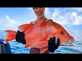 Hunting Seafood For Dinner With Fish Huntress Amy