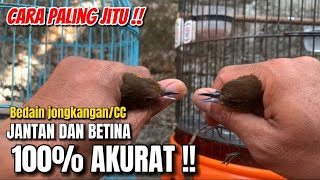 Download lagu ANTI MISS‼️HOW TO DIFFERENTIATE MALE AND FEMALE CINGCOANG/JONGKANGAN 100% ACCURATE‼️ mp3