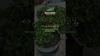 Download lagu lakum dinukum waliyadin @Bintoro.Channel mp3 Download lagu lakum dinukum waliyadin @Bintoro.Channel mp3