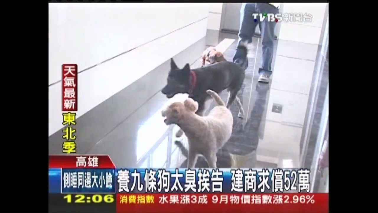 養9條狗太臭挨告 建商求償52萬